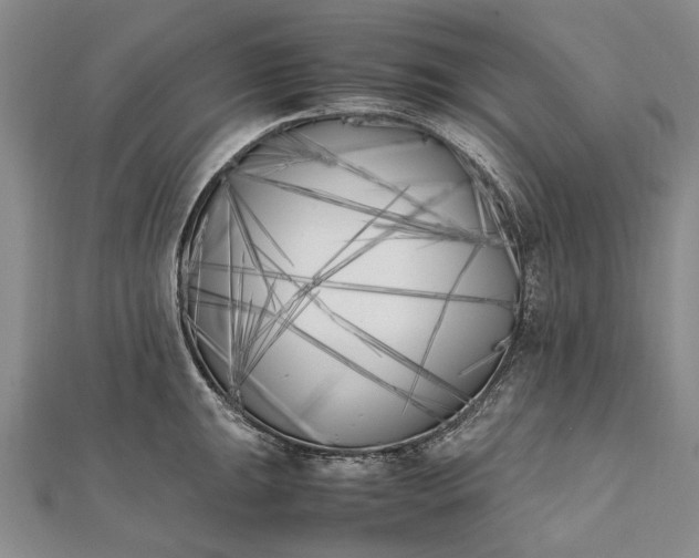 X0000111851047200908061310