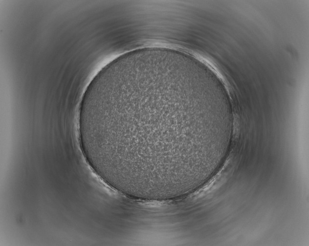 X0000111851048200908061310