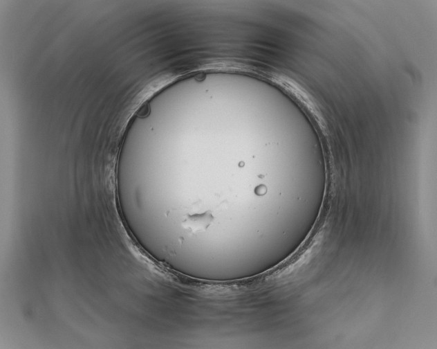 X0000111851049200908061310