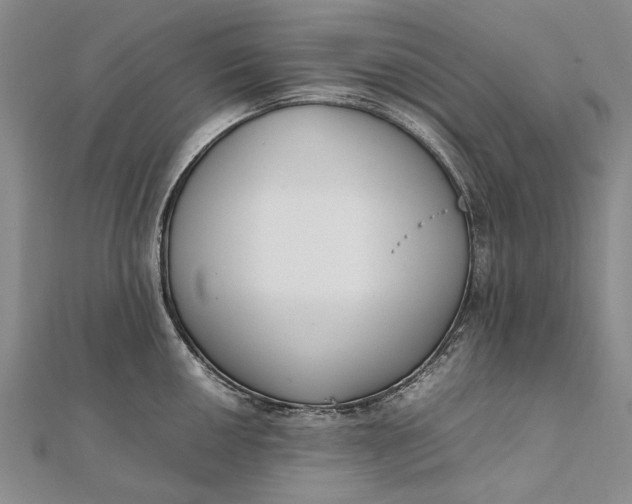 X0000111851050200908061310