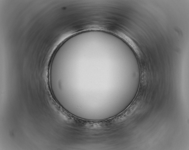 X0000111851051200908061310