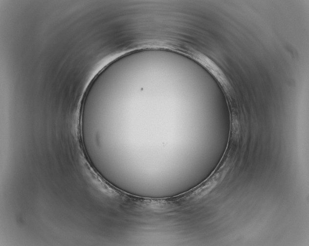 X0000111851052200908061310