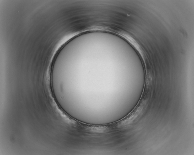 X0000111851053200908061310