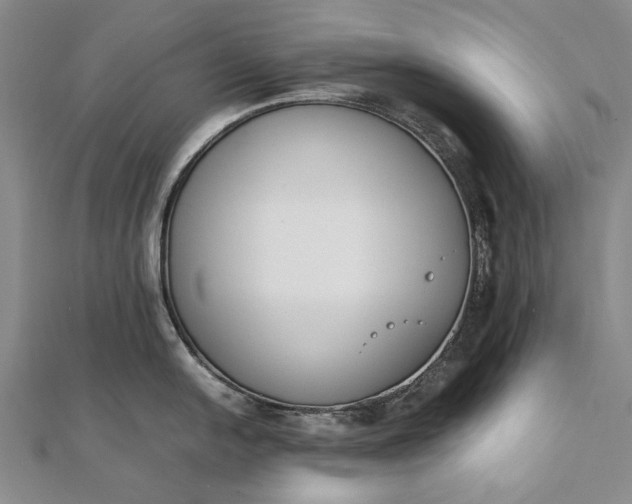 X0000111851054200908061310