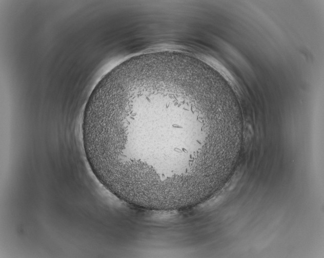 X0000111851055200908061310