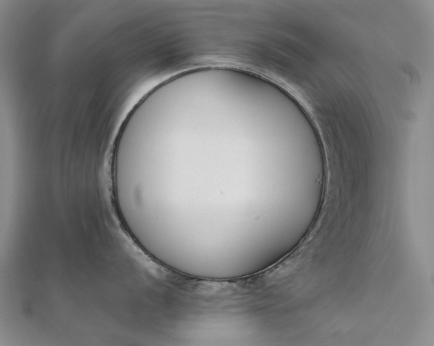 X0000111851056200908061310