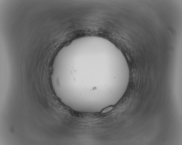 X0000111851057200908061310