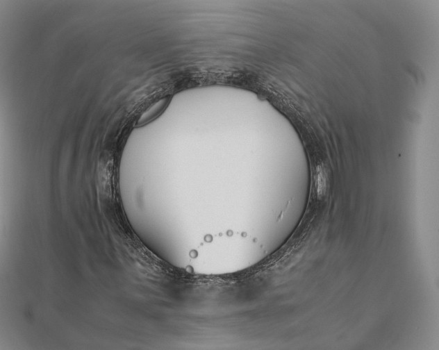 X0000111851059200908061309