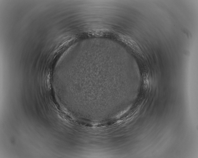 X0000111851060200908061309