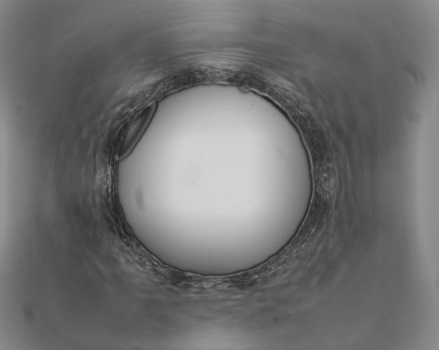 X0000111851061200908061309