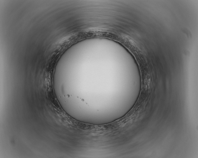 X0000111851062200908061309