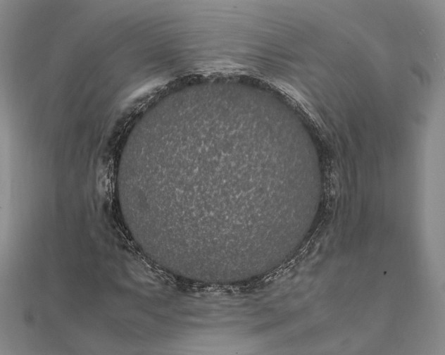 X0000111851063200908061309