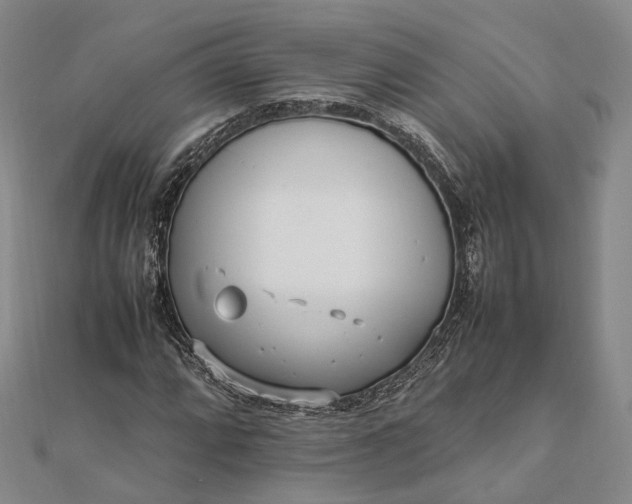 X0000111851064200908061309