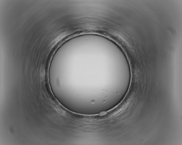 X0000111851065200908061309