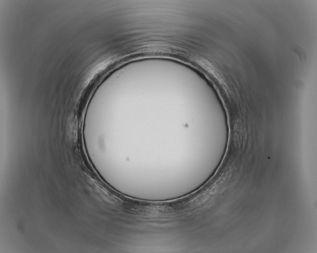 X0000111851067200908061309