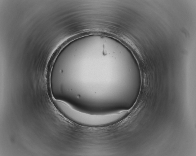 X0000111851068200908061309