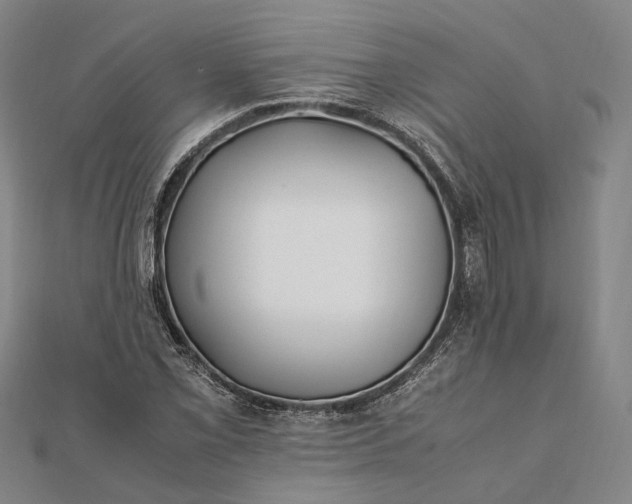 X0000111851069200908061309