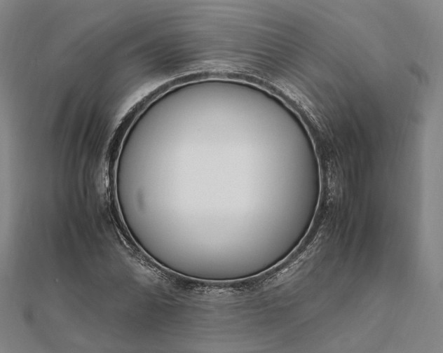 X0000111851070200908061309