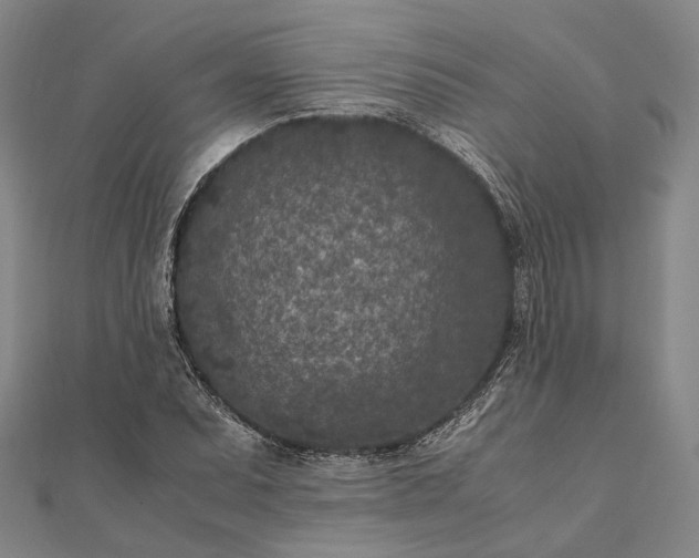 X0000111851071200908061309