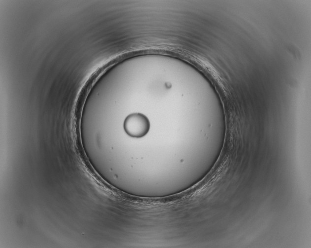 X0000111851072200908061309