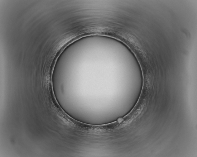 X0000111851073200908061309