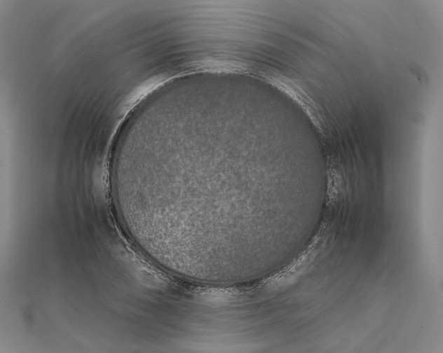 X0000111851074200908061309