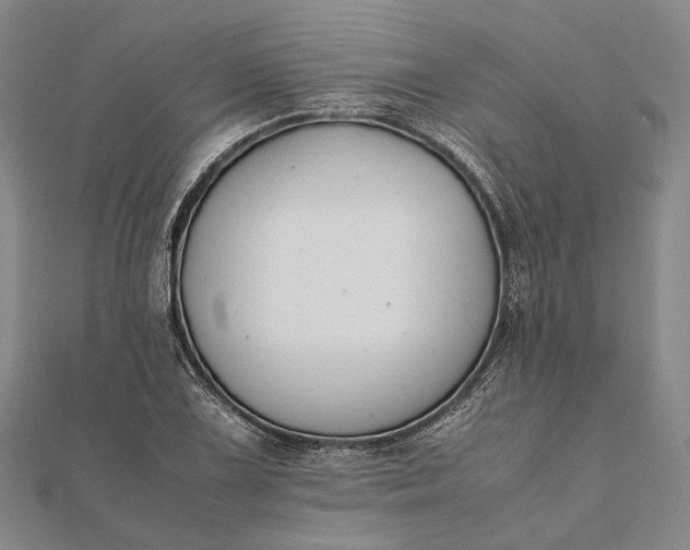 X0000111851075200908061309