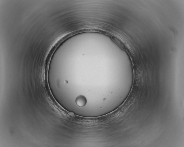 X0000111851076200908061309