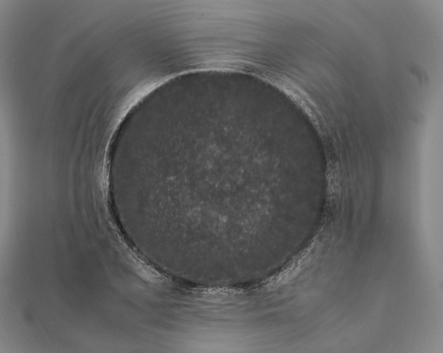 X0000111851077200908061309