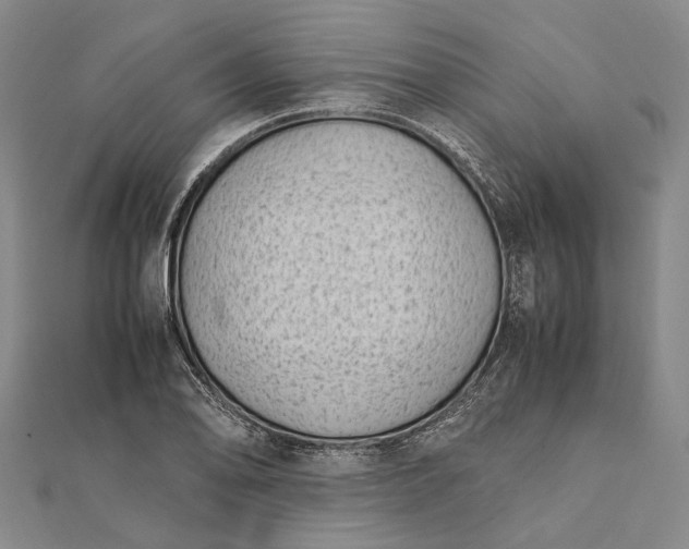 X0000111851078200908061309