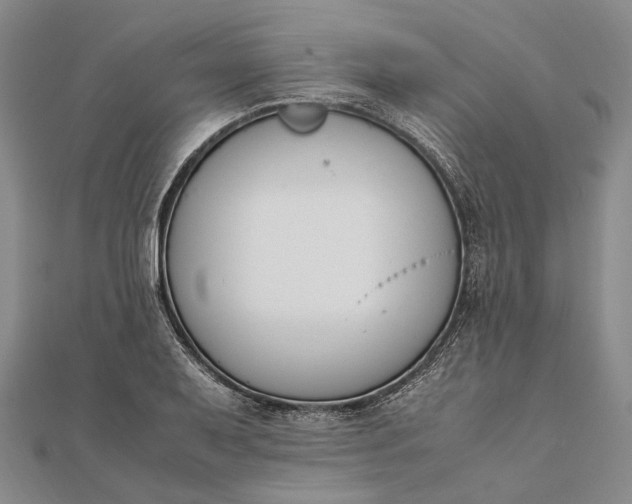 X0000111851079200908061309