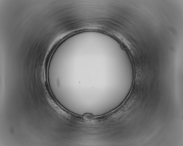 X0000111851080200908061309