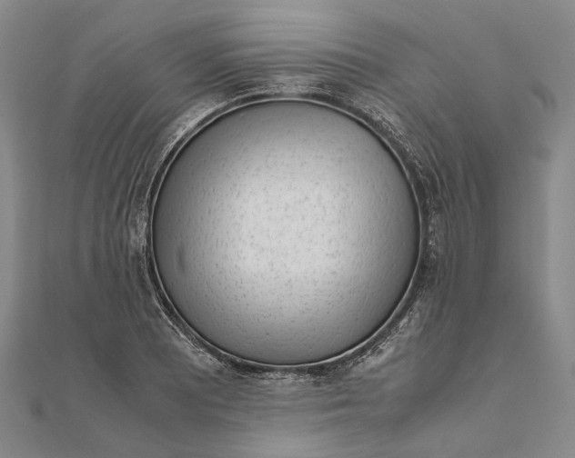 X0000111851081200908061309