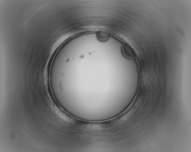 X0000111851082200908061309