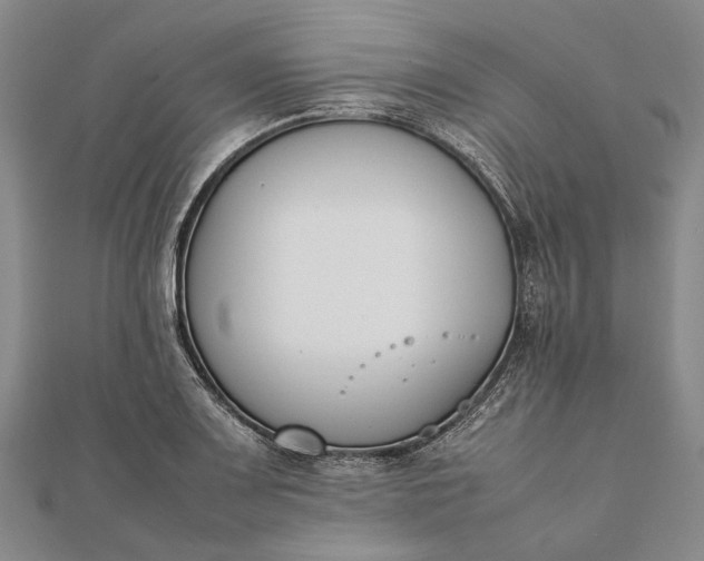 X0000111851083200908061309