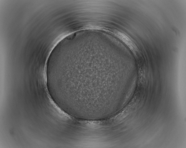 X0000111851084200908061309