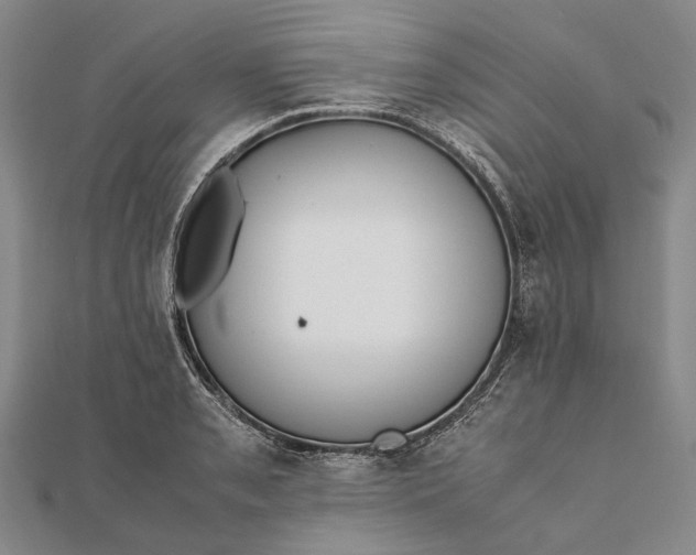 X0000111851085200908061309