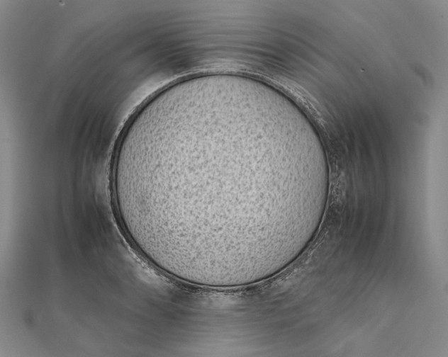 X0000111851086200908061309