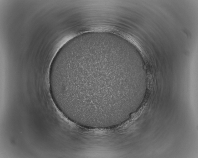 X0000111851087200908061309