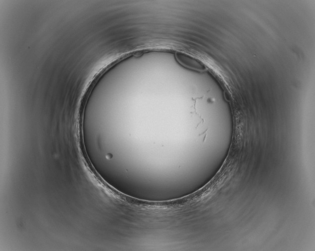 X0000111851088200908061309