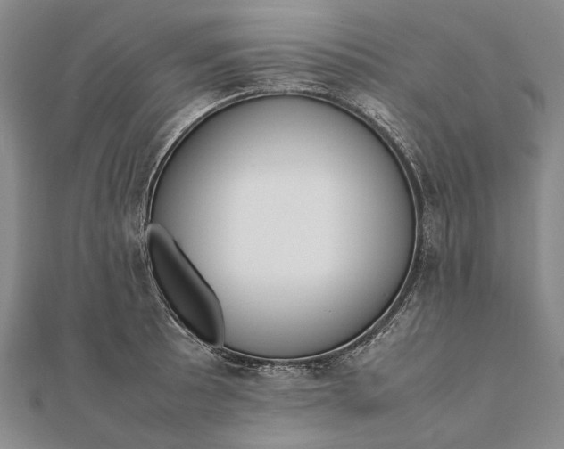 X0000111851089200908061309