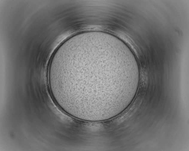 X0000111851090200908061309