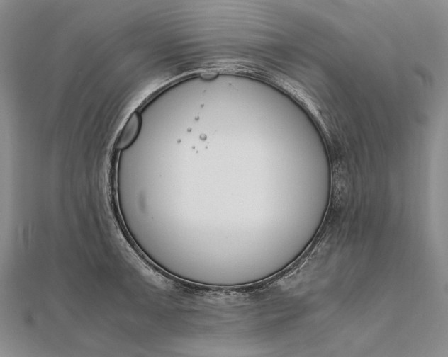 X0000111851091200908061309