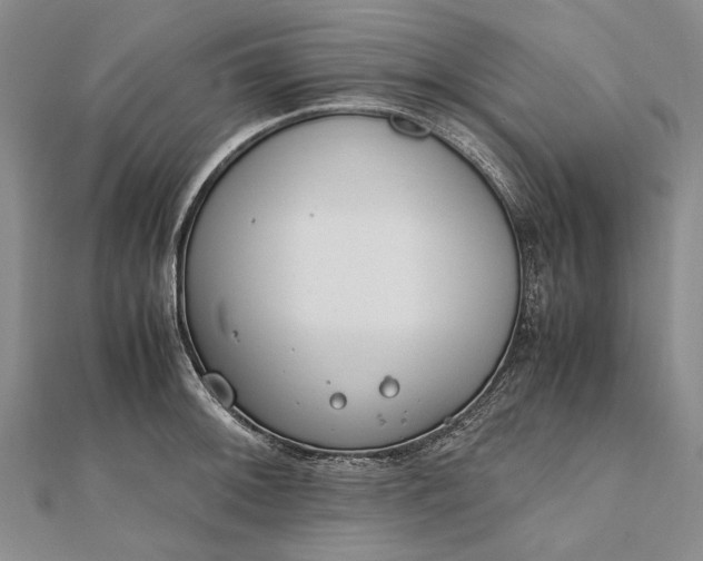 X0000111851092200908061309