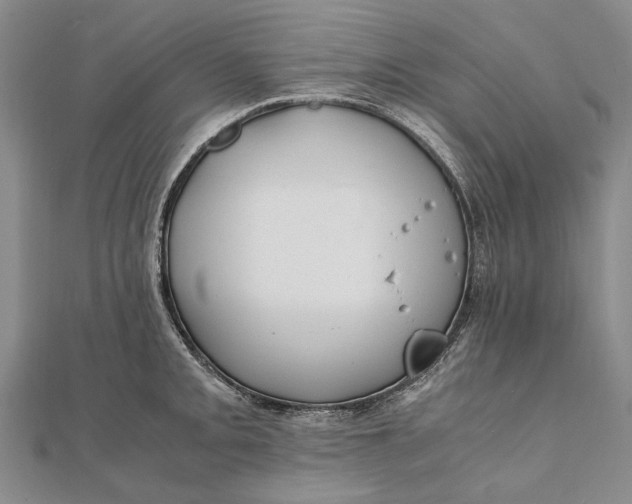 X0000111851093200908061309