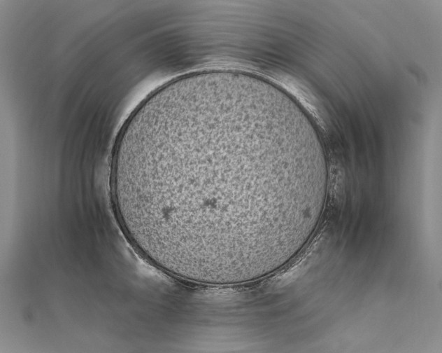 X0000111851094200908061309