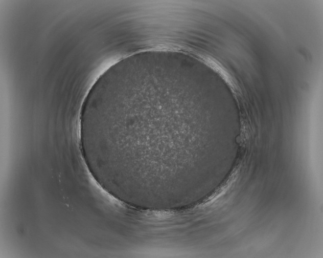 X0000111851095200908061309