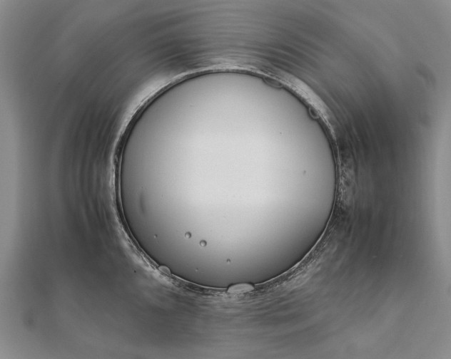 X0000111851096200908061309