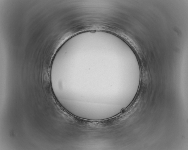 X0000111851097200908061309