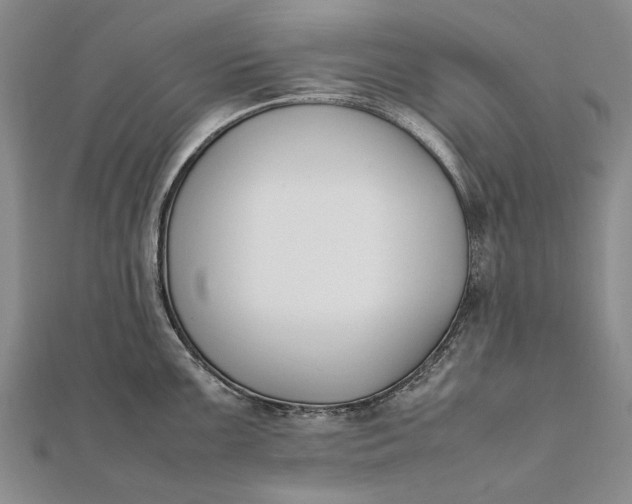 X0000111851099200908061309